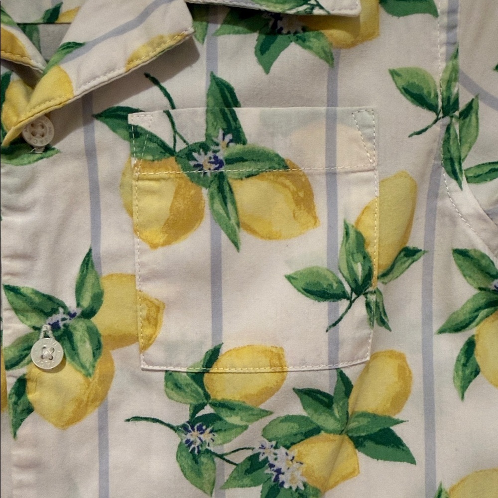 Janie and Jack Boys Size 6 Lemon Print Button Down Shirt Resort Easter Spring - Picture 4 of 8